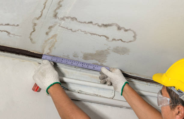 Reliable Burst Pipe Cleanup contractor in Waterloo, OH by Water Damage Irwin